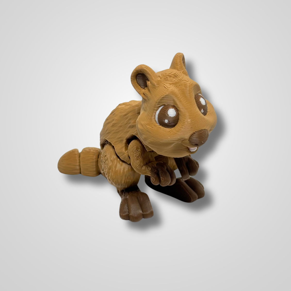 Quokka
