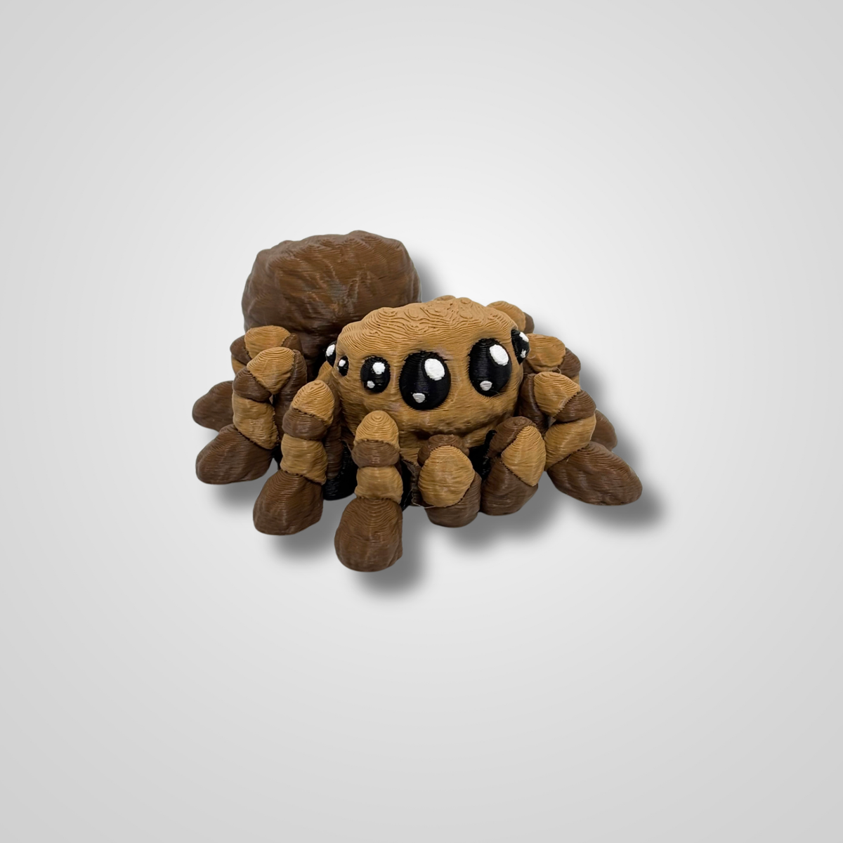 Jumping Spider
