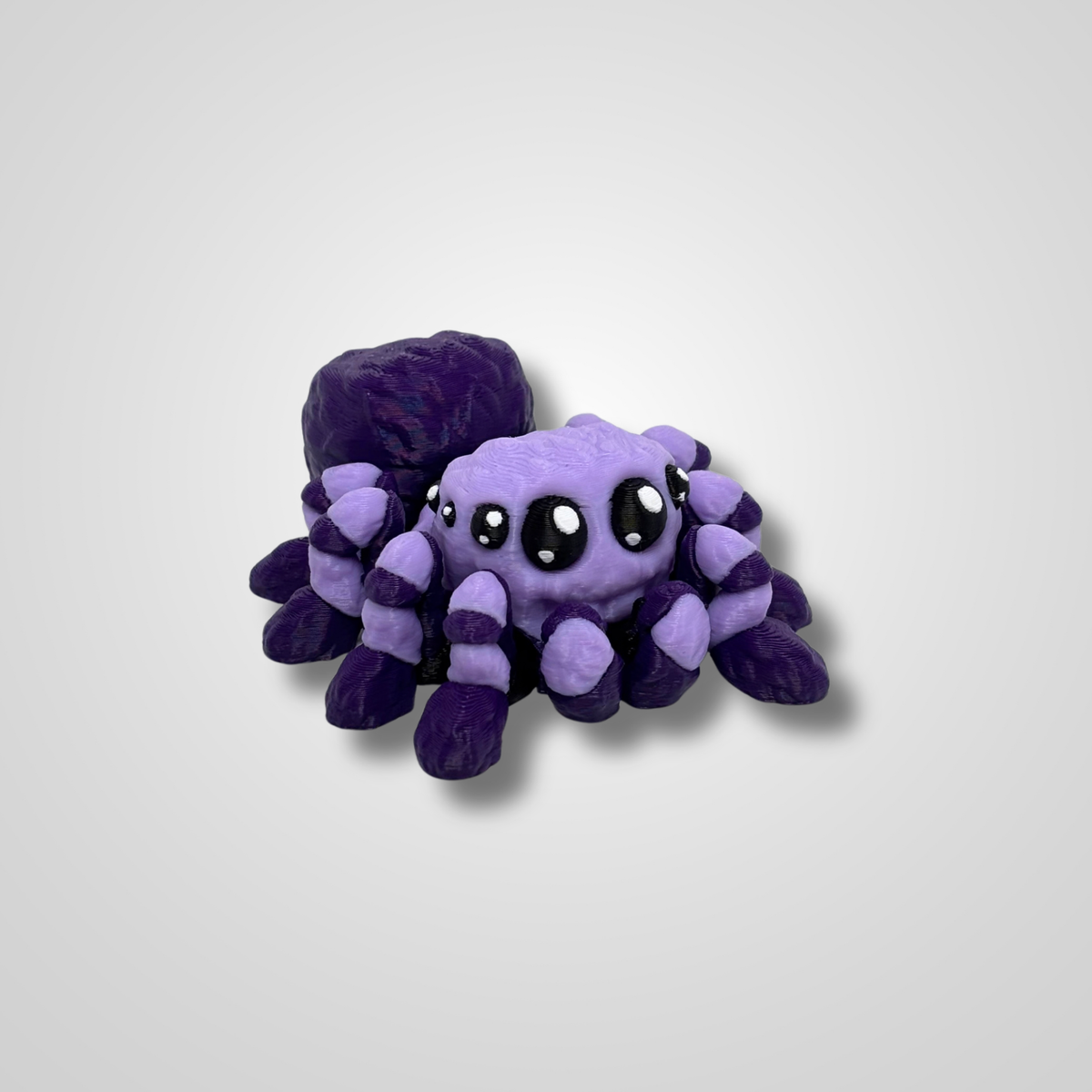 Jumping Spider