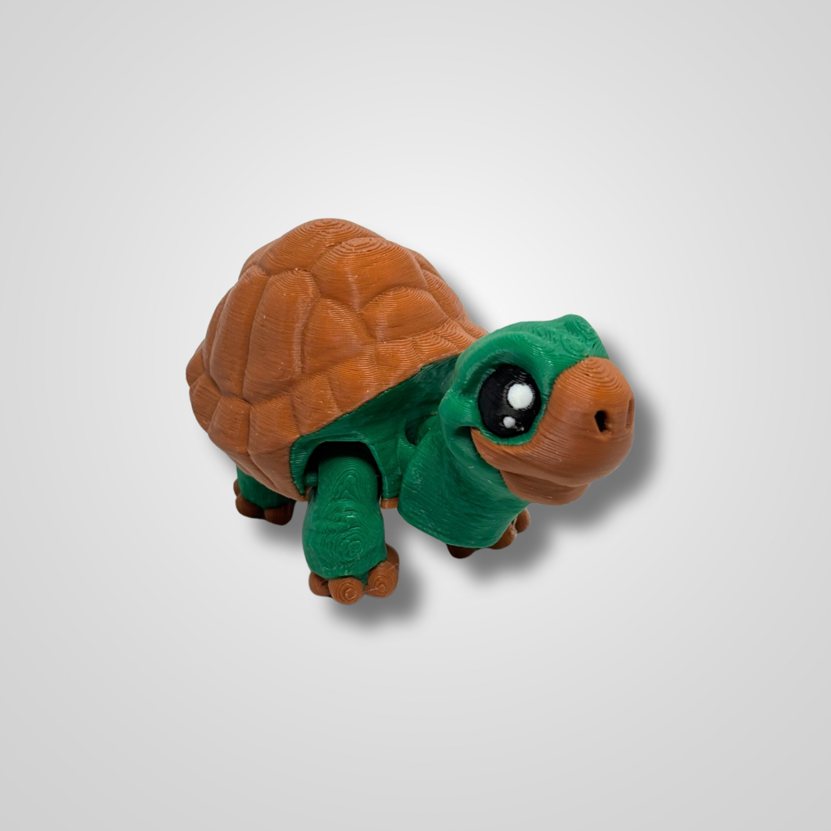 Turtle